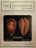 The Connoisseur of Seashells
