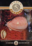 World Shells