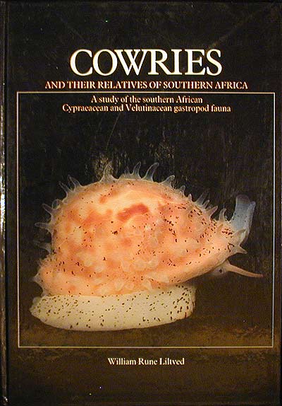 Cowries and their relatives of Southern Africa
