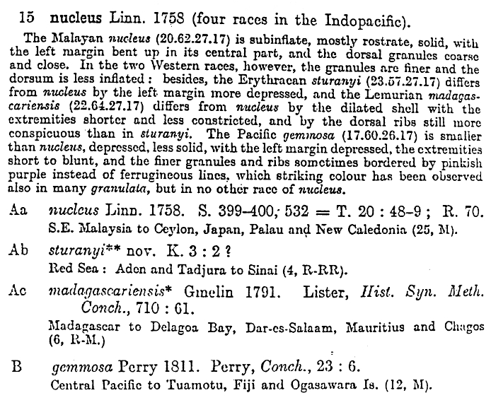 Reproduction of Schilders' prodrome discussion of nucleus